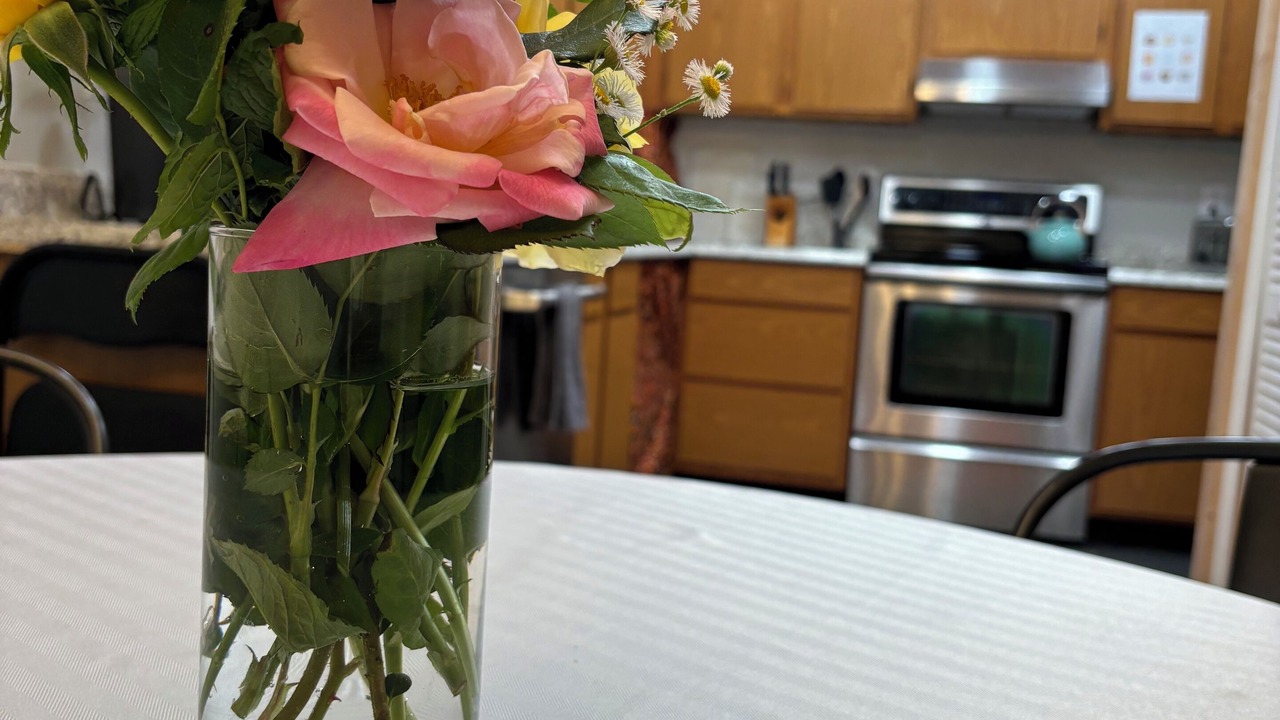 Photo of Kitchen in Amelia Court House
