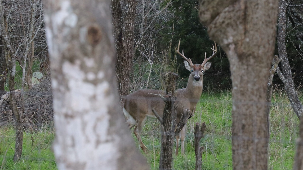Photo of Others in Barksdale