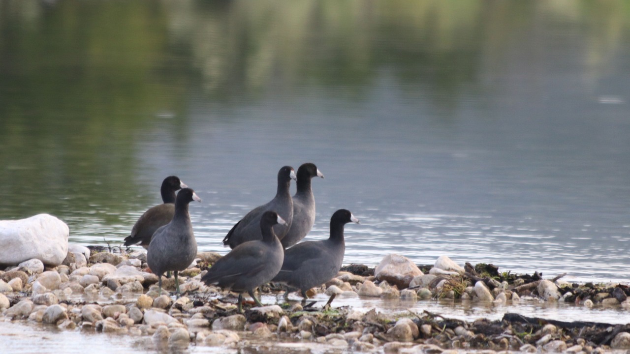 Photo of Others in Barksdale