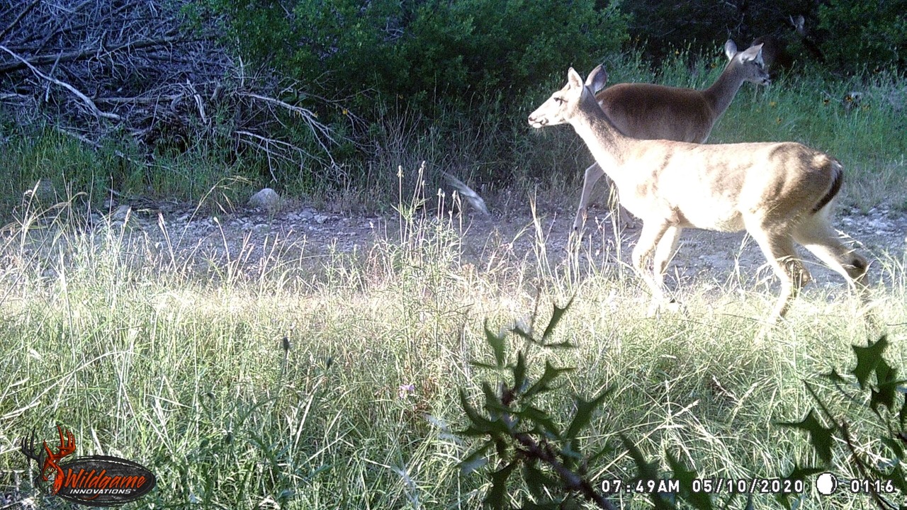 Photo of Outdoor in Barksdale