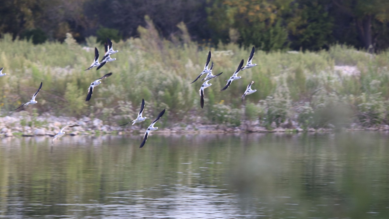Photo of Others in Barksdale