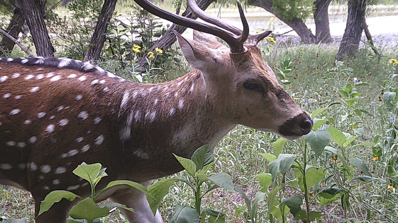 Photo of Outdoor in Barksdale
