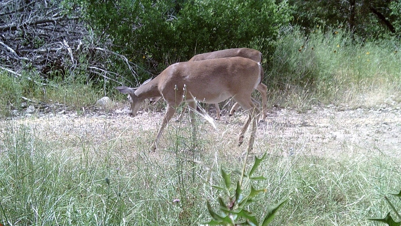 Photo of Outdoor in Barksdale