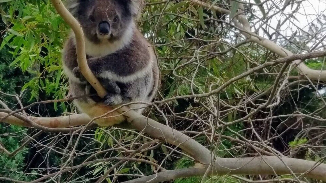 Photo of Others in Wye River