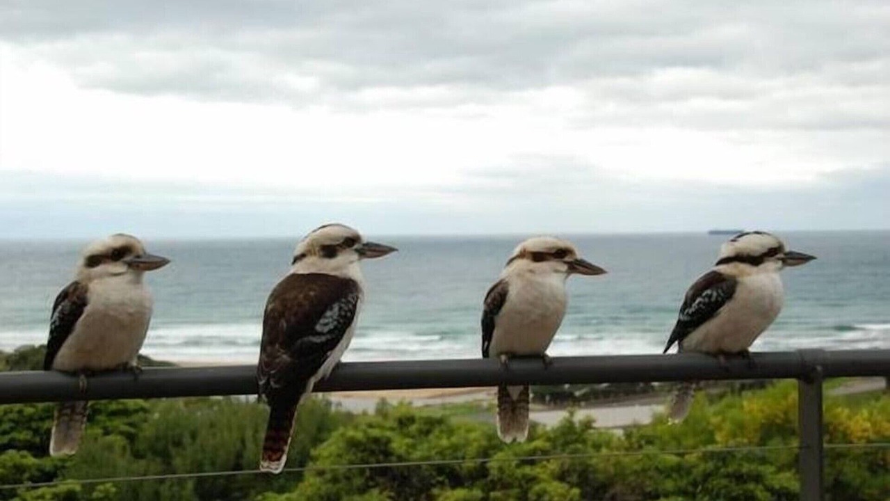 Photo of Others in Wye River