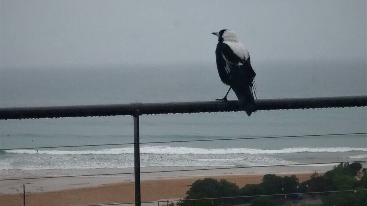 Photo of Others in Wye River