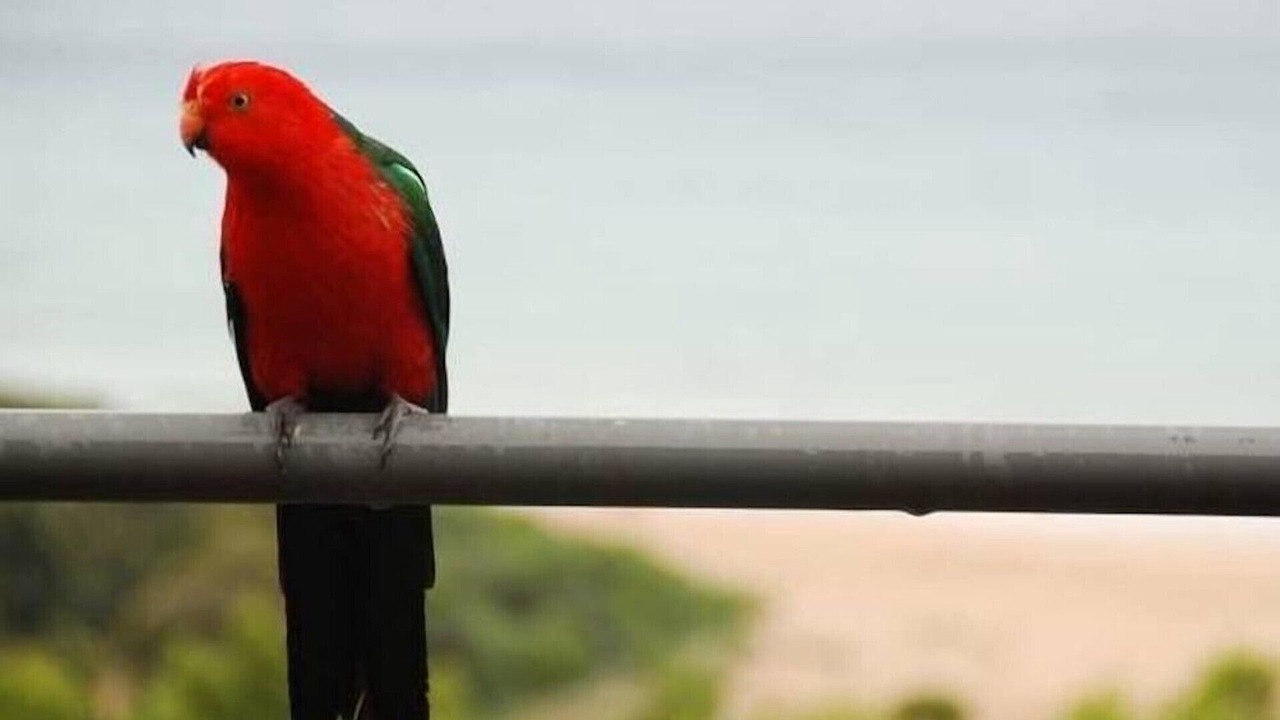 Photo of Others in Wye River