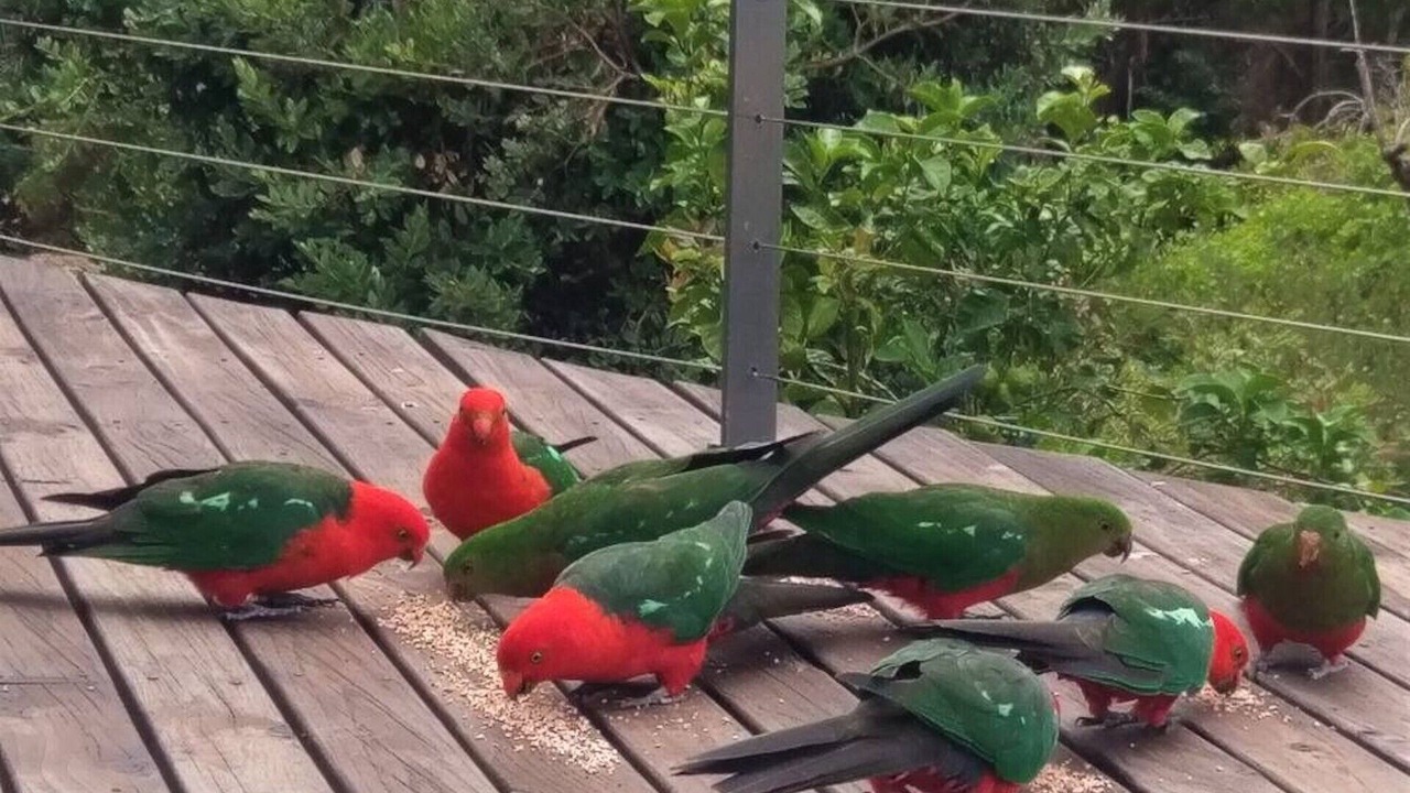 Photo of Others in Wye River