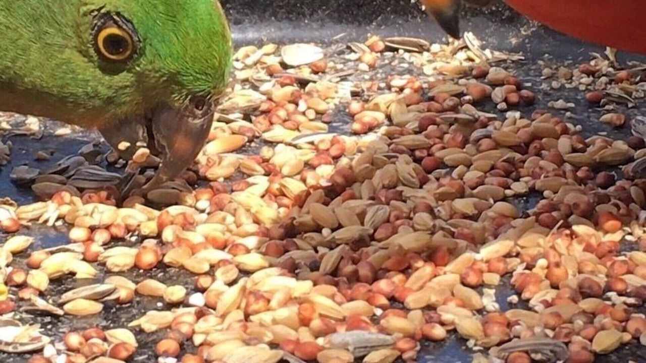 Photo of Others in Wye River