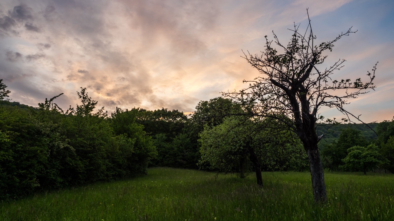 Photo of Bathroom in Oberbronn