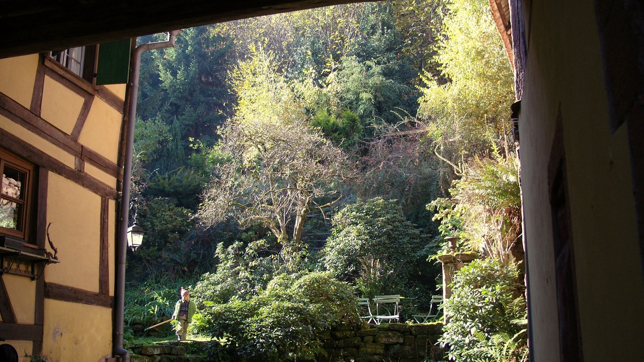 Photo of Others in Oberbronn