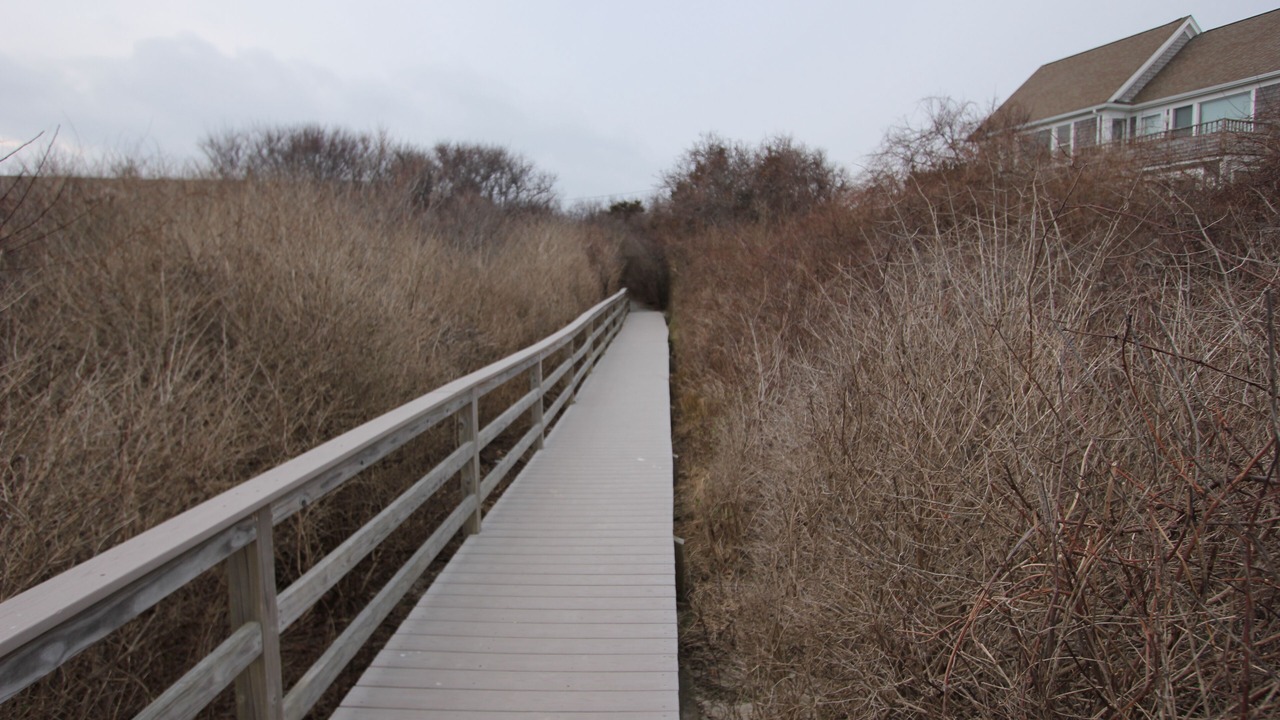 Photo of Others in East Sandwich