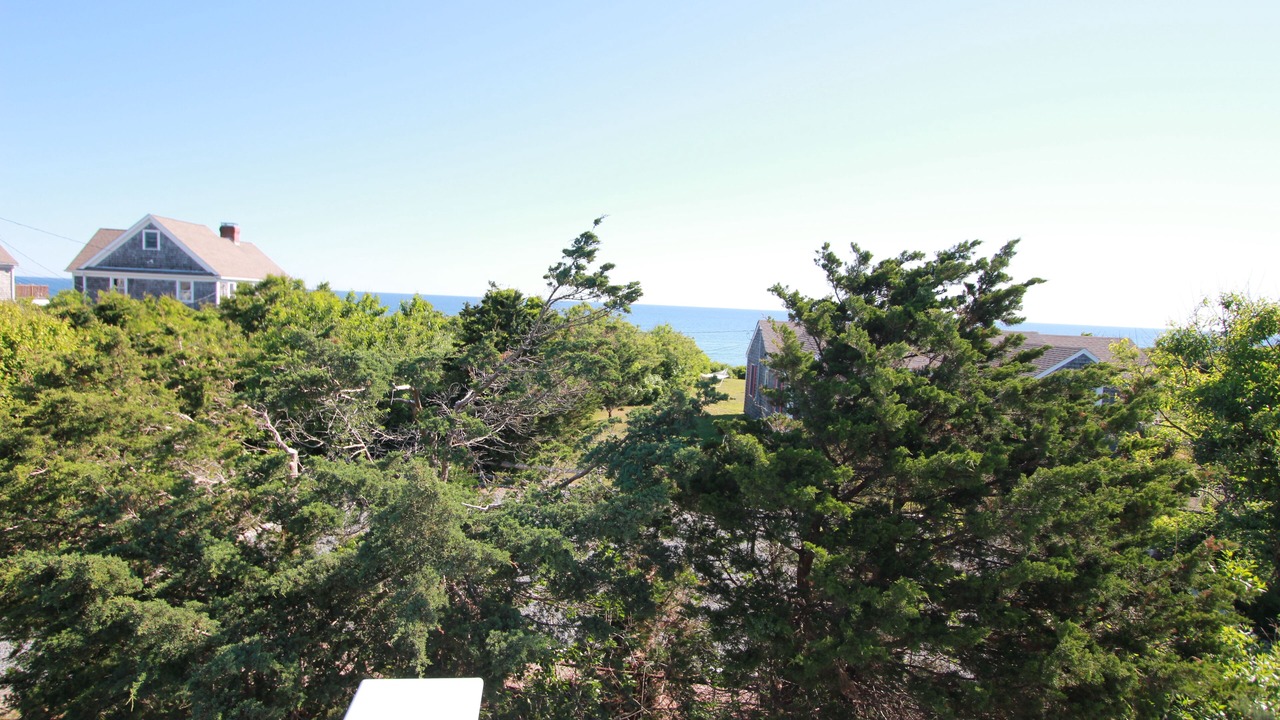 Photo of Others in East Sandwich