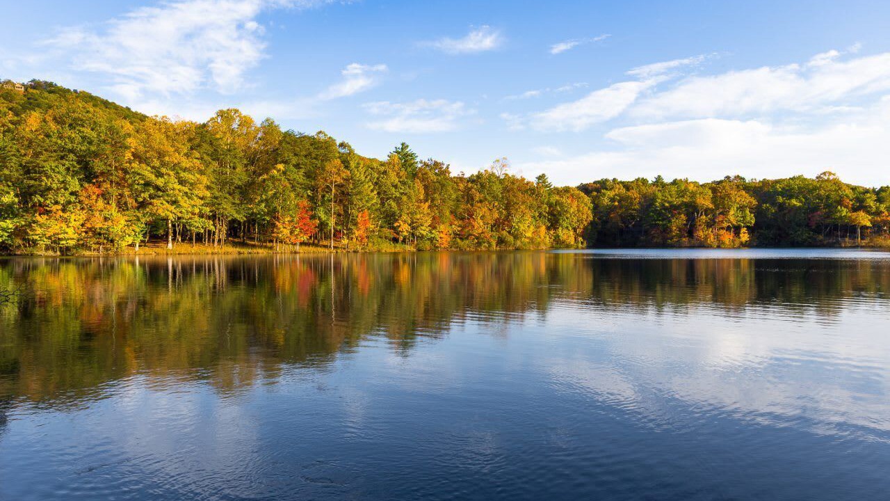 Photo of Others in Big Canoe