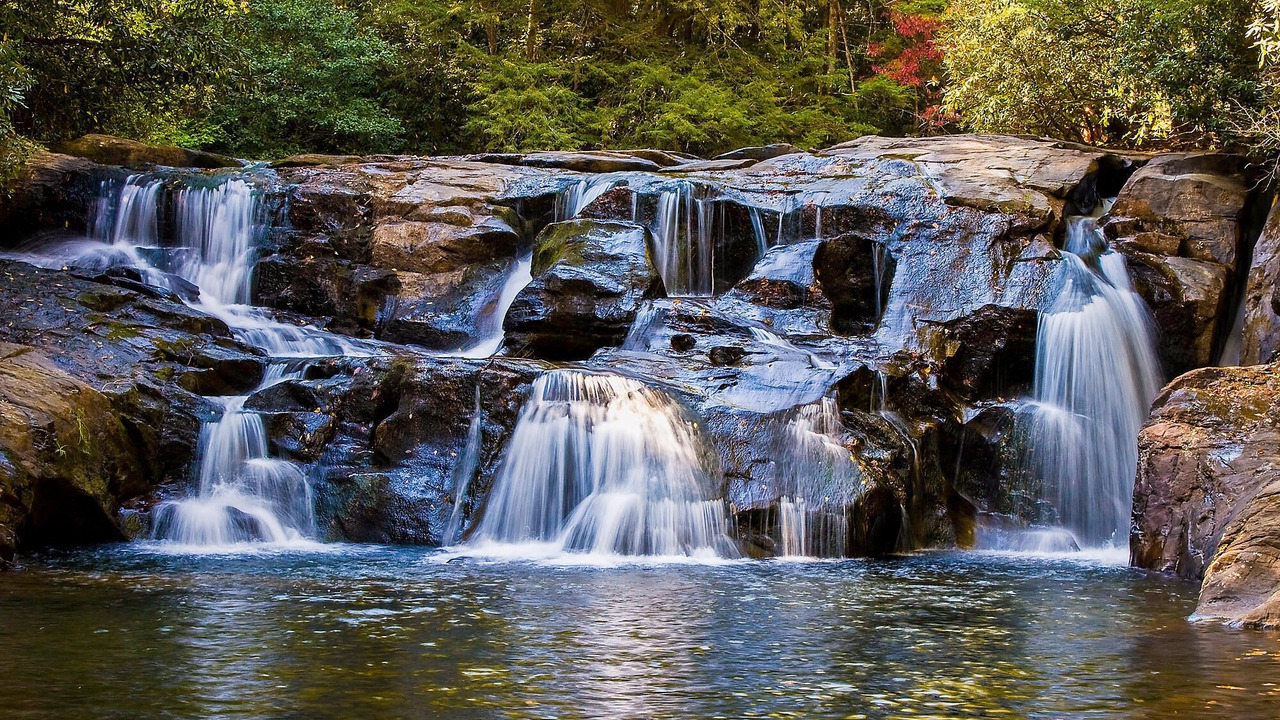 Photo of Others in Big Canoe
