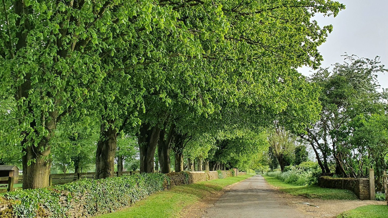 Photo of Others in Tetbury
