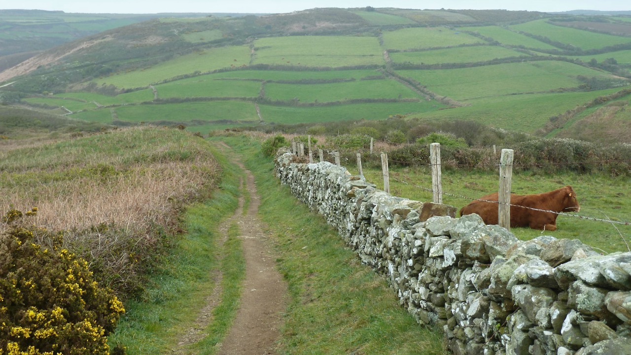 Photo of Bedroom in Auderville