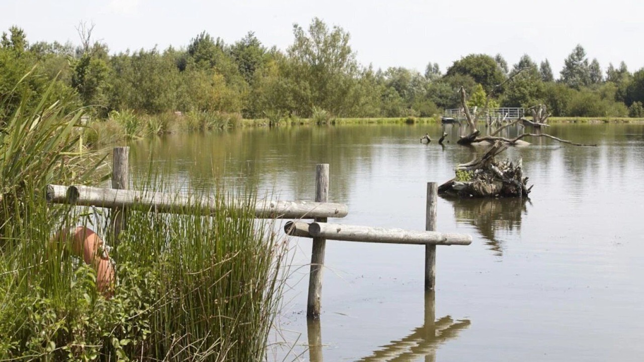 Photo of Others in Moutiers-Sous-Chantemerle