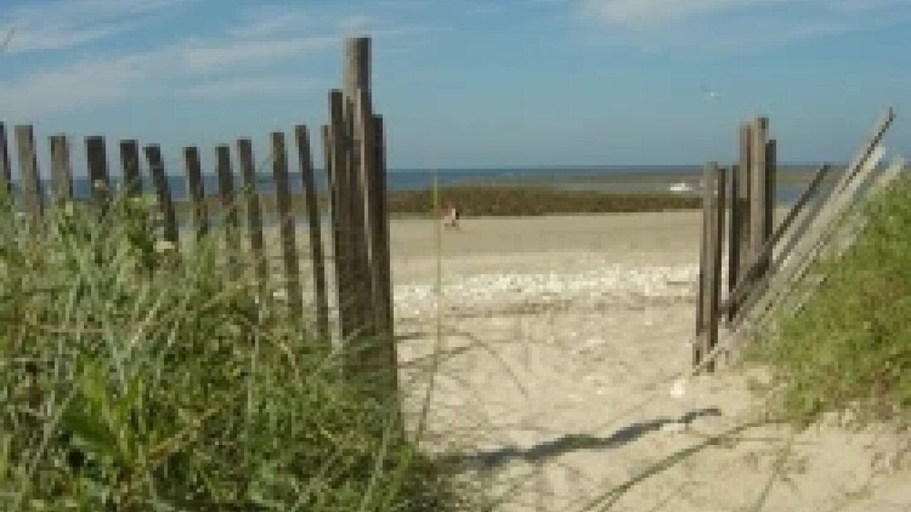 Photo of Others in Saint-Denis-d'Oleron