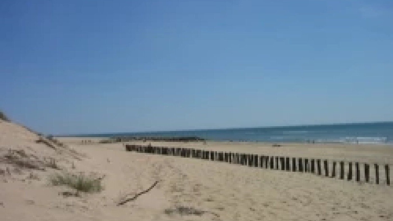 Photo of Others in Saint-Denis-d'Oleron