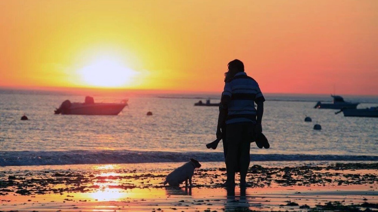 Photo of Others in Saint-Denis-d'Oleron