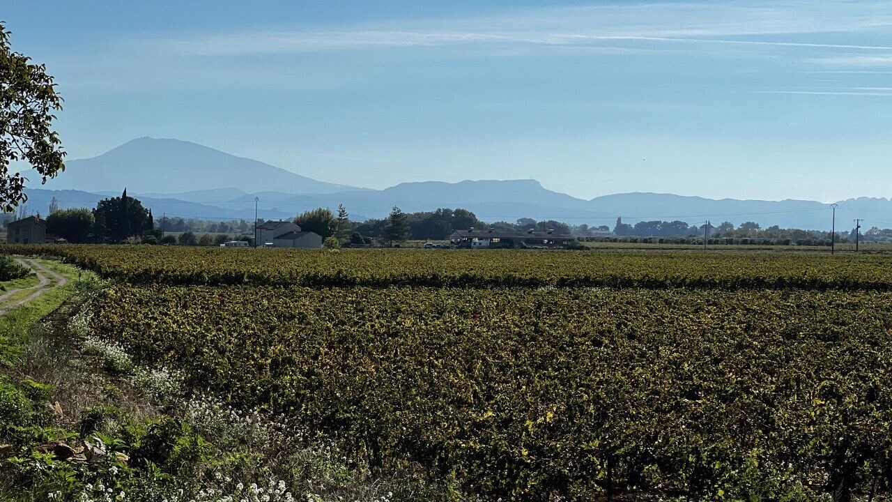 Photo of Outdoor in Rochegude
