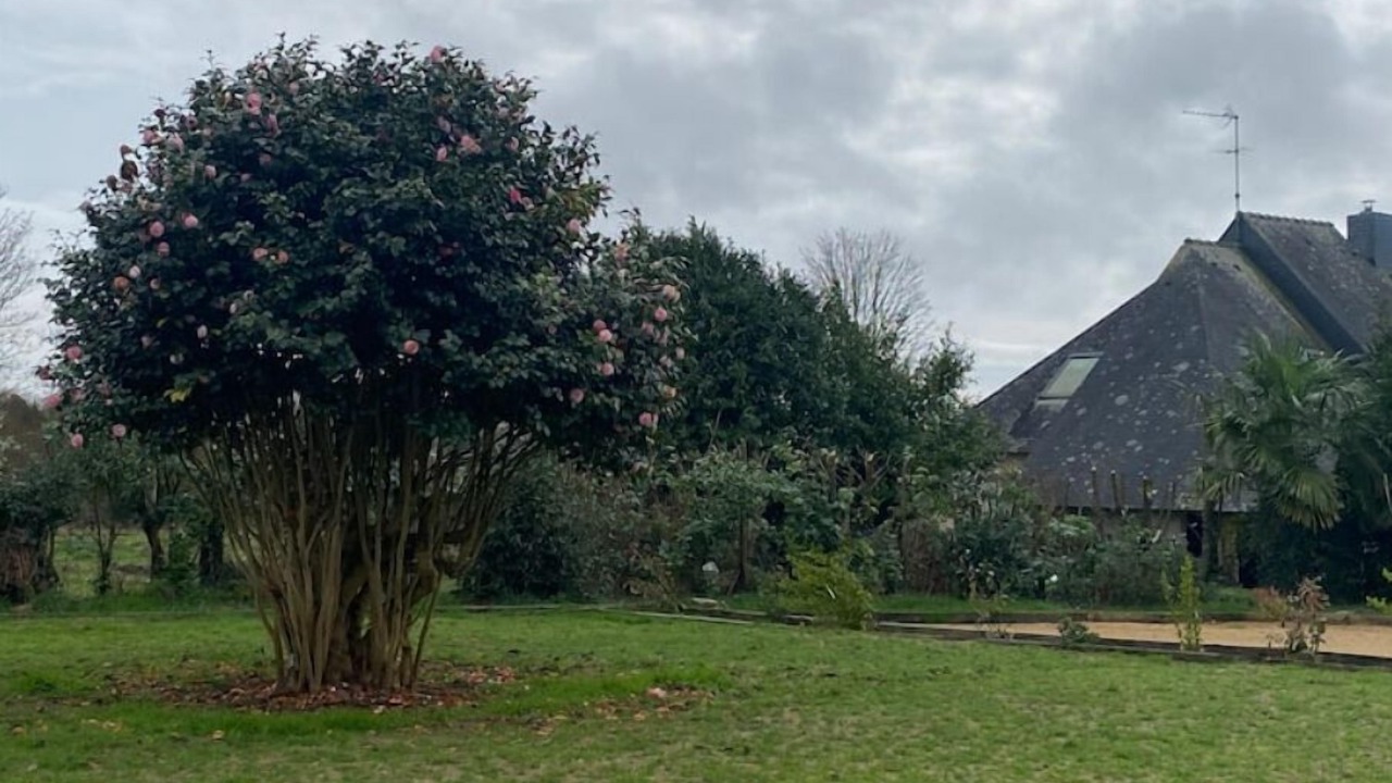 Photo of Outdoor in Tregunc