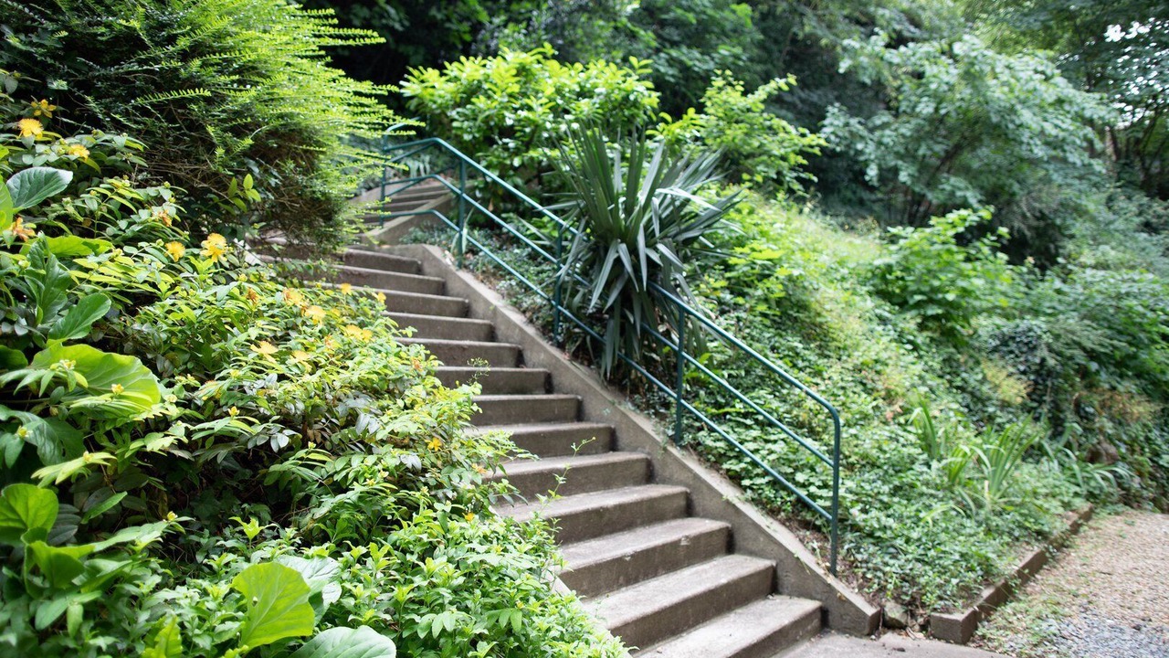 Photo of Outdoor in Poitiers