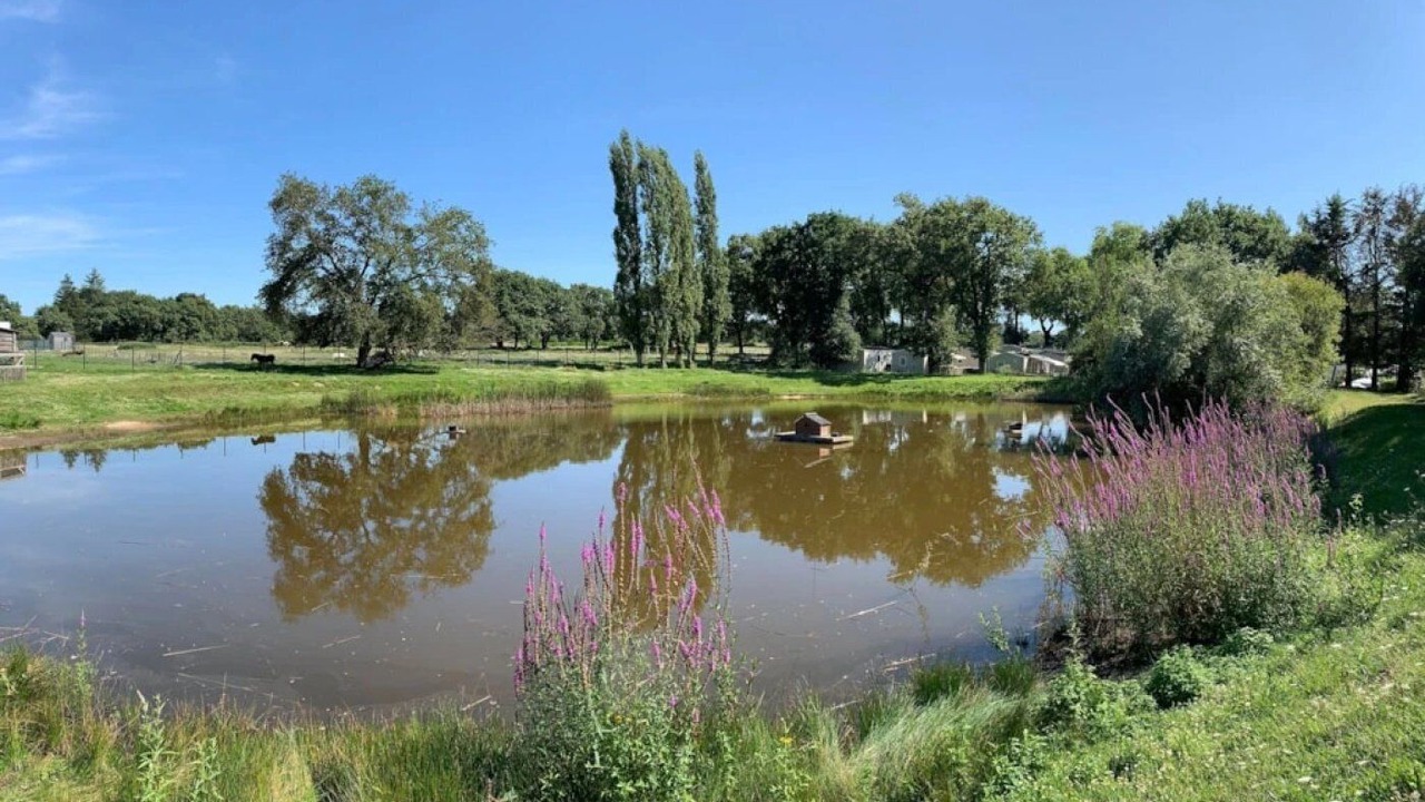 Photo of Others in Guerande