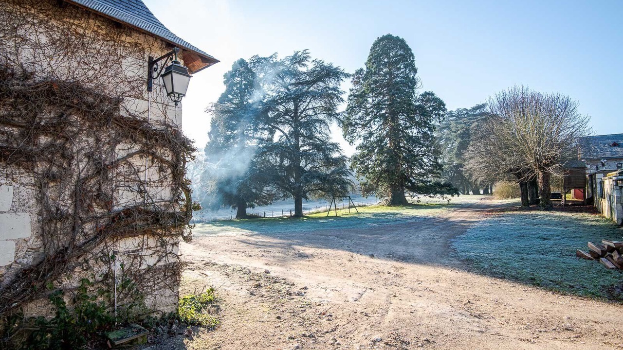 Photo of Outdoor in Athee-sur-Cher