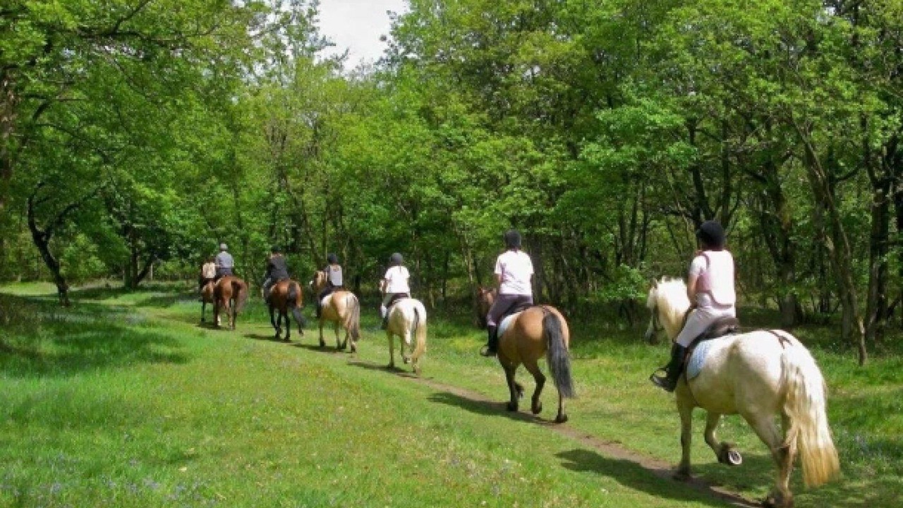 Photo of Others in Tamnies