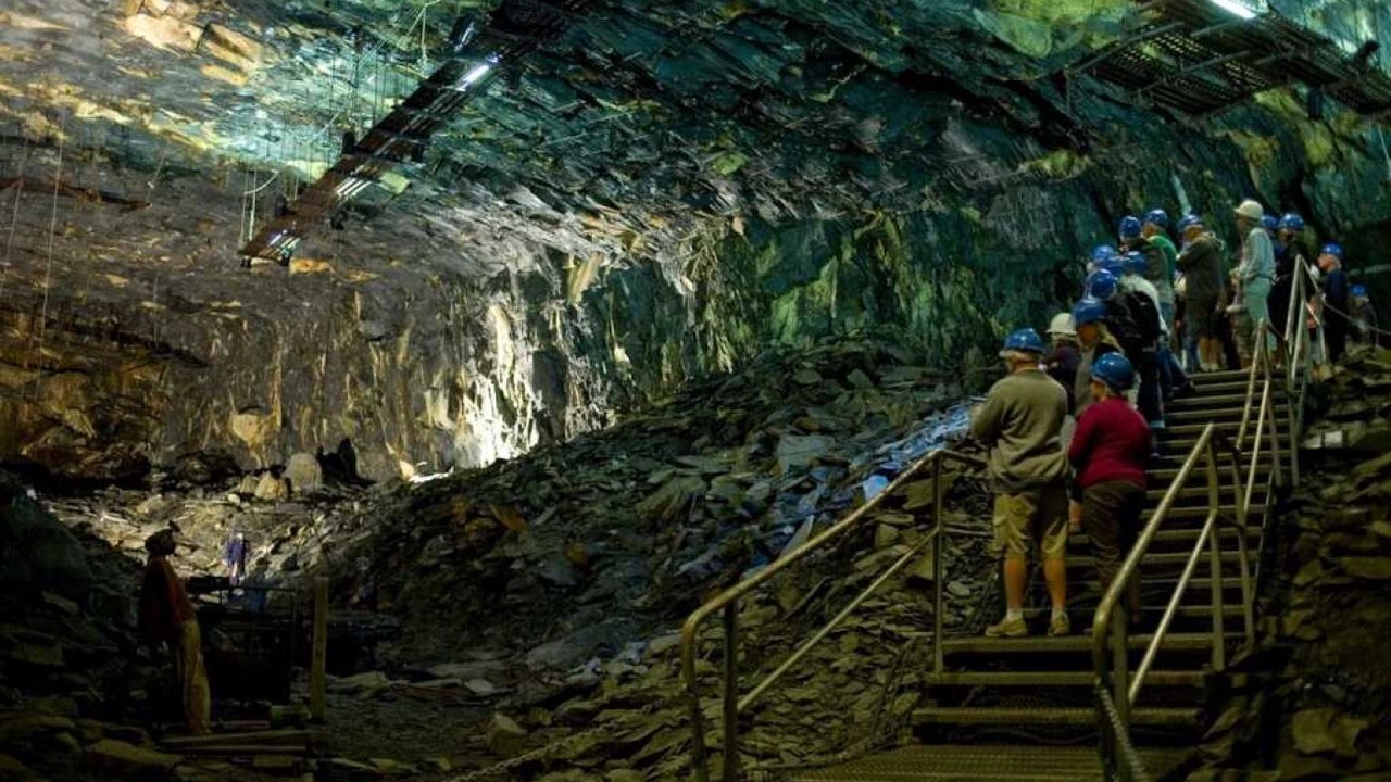 Photo of Others in Le Lion-d'Angers