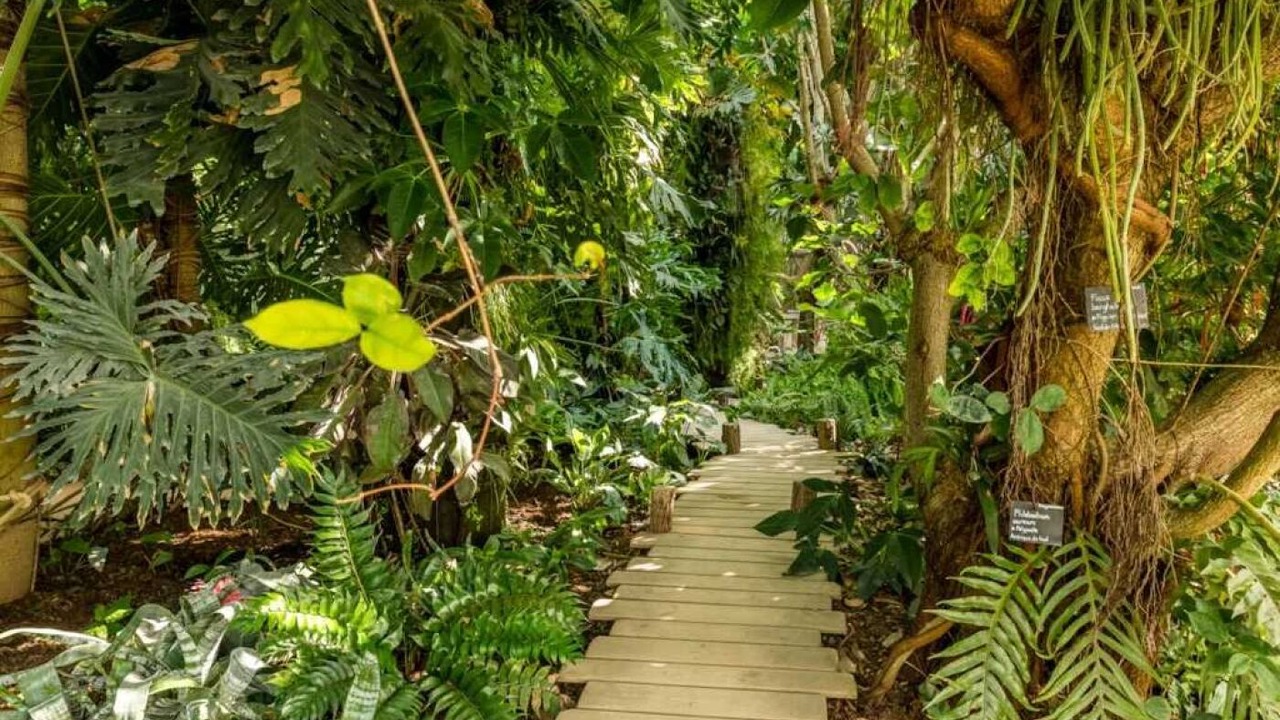 Photo of Outdoor in Le Lion-d'Angers