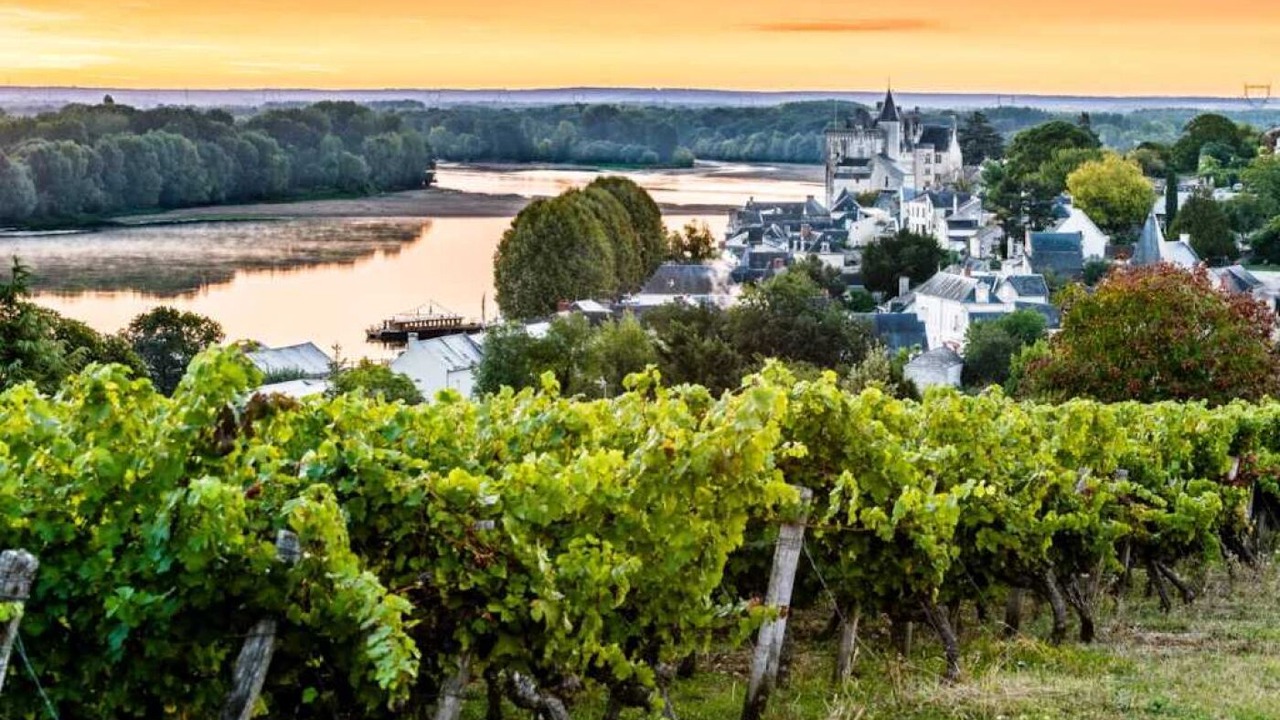 Photo of Others in Le Lion-d'Angers