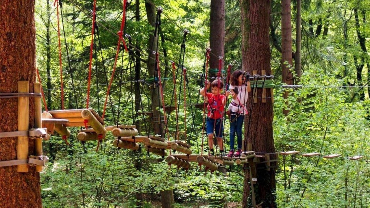 Photo of Others in Guemene-Penfao