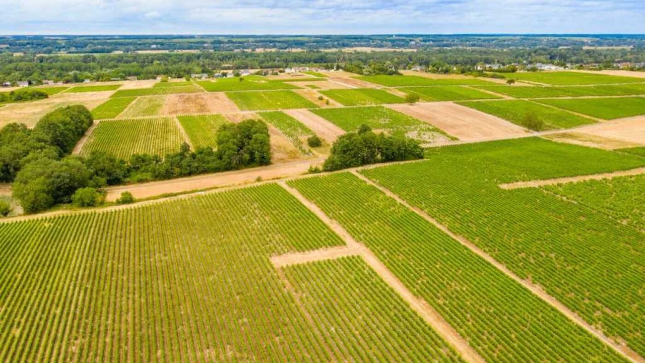 Photo of Outdoor in Montlouis-sur-Loire