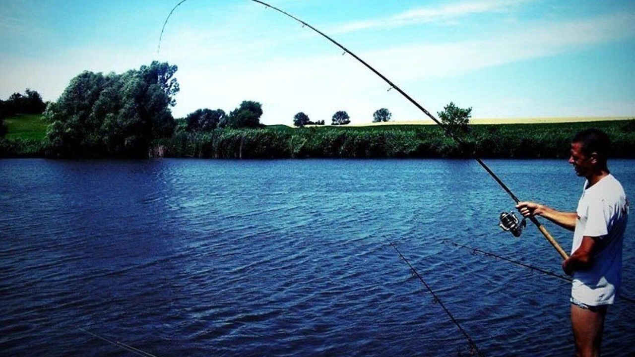 Photo of Others in Sainte-Marie-la-Mer
