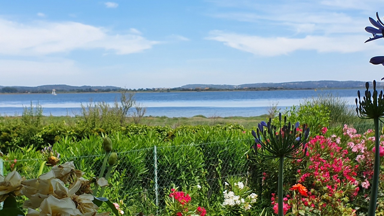 Photo of Outdoor in Bages