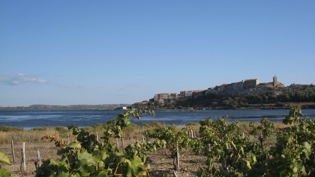 Photo of Others in Bages