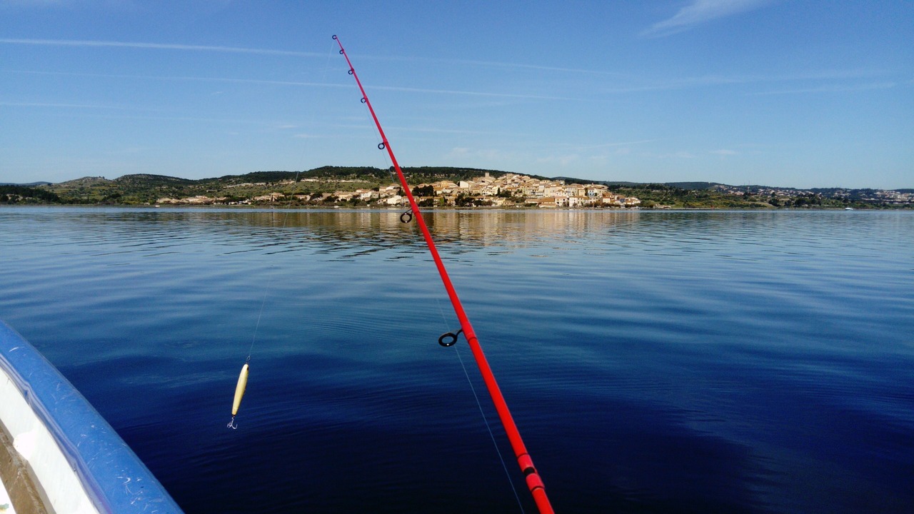 Photo of Others in Bages