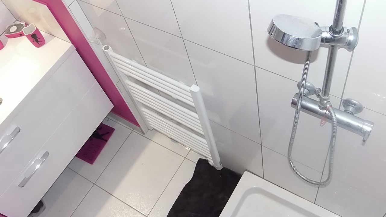Photo of Bathroom in Segre-en-Anjou-Bleu