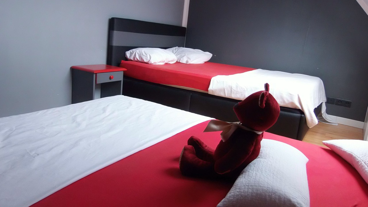 Photo of Bedroom in Segre-en-Anjou-Bleu