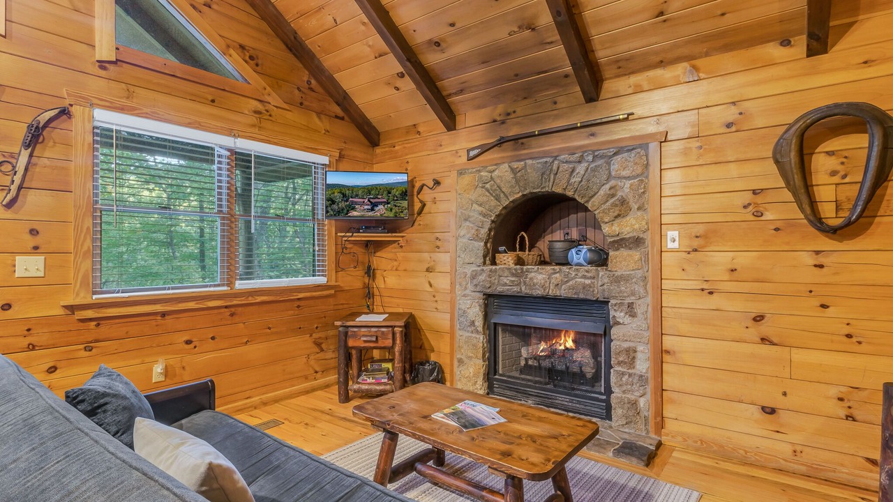 Photo of Livingroom in Stanardsville