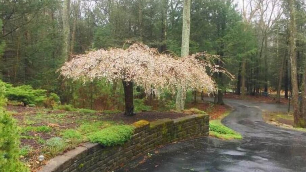 Photo of Outdoor in Northwest Harwinton