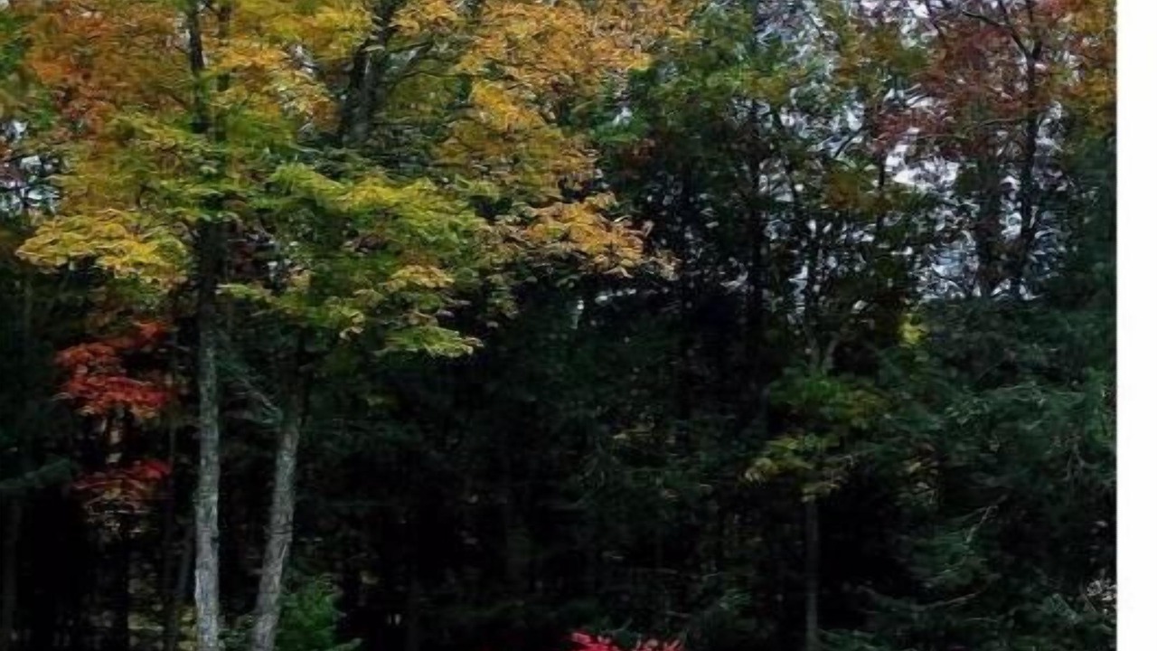 Photo of Outdoor in Northwest Harwinton