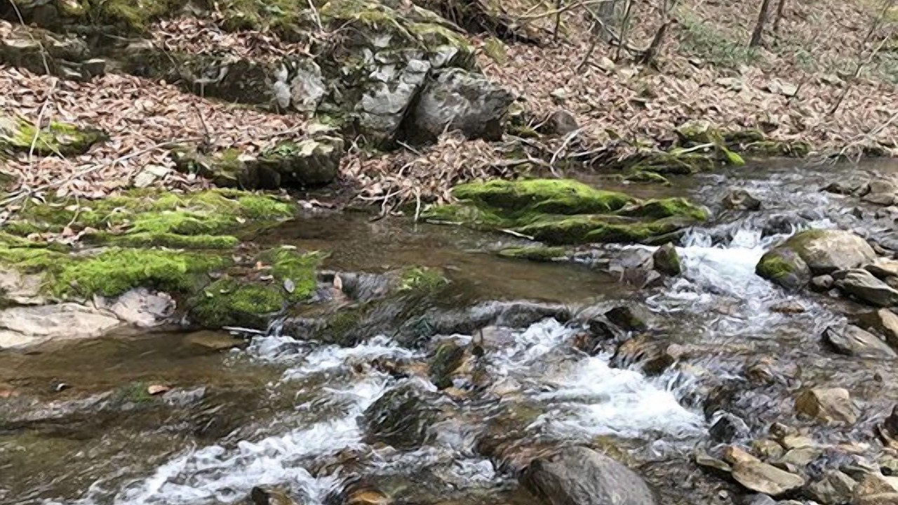 Photo of Outdoor in Stanardsville