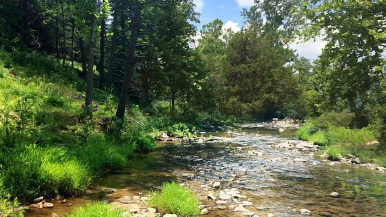 Photo of Outdoor in Dyke