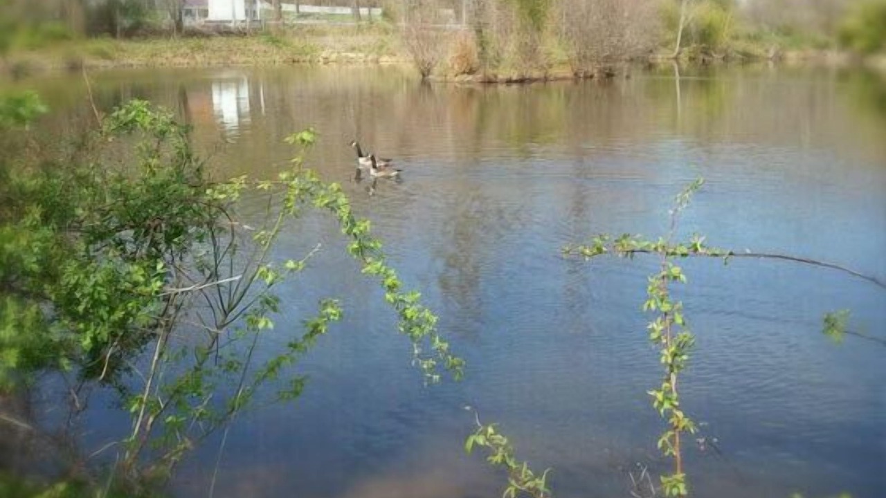 Photo of Outdoor in Stanardsville