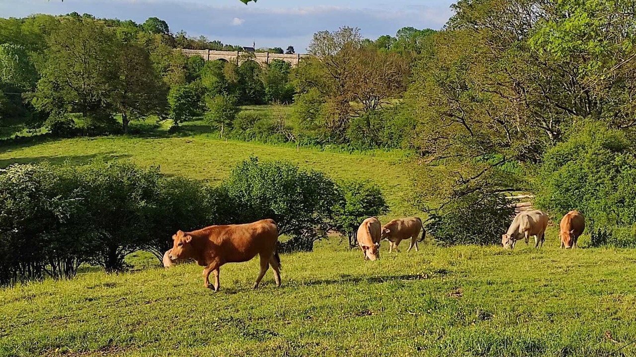 Photo of Outdoor in Maulevrier