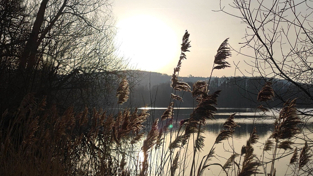 Photo of Others in Meneslies